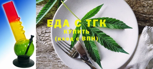 хмурый Алексин