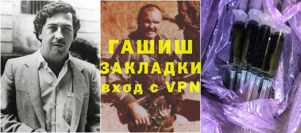 хмурый Алексин