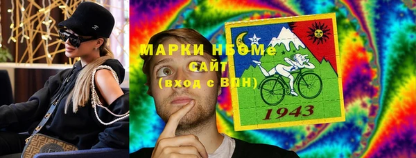 хмурый Алексин